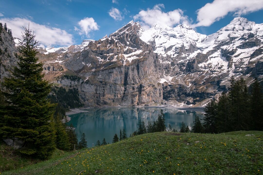 swiss landscape research
